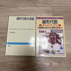 線形代数 演習問題集 改訂版