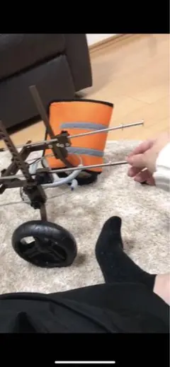 ドッグウォーカー
