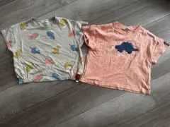 mimorand恐竜Tシャツ2枚セット
