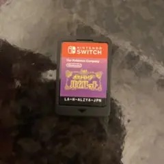 ポケットモンスター バイオレット Nintendo Switch