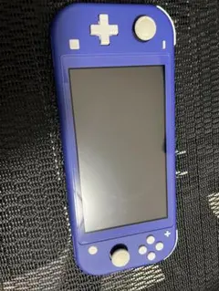 Nintendo Switch Lite パープル スイッチ ライト　SDカード