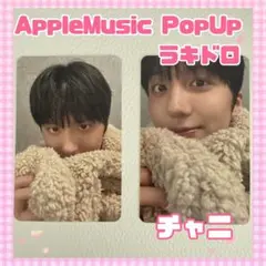 な*ん様 ラブ&ポップ レーザーディスク ラブ＆ポップ 2枚組 LD レーザーディスク 帯付き 庵野秀明 貴重
