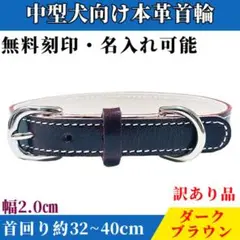 中型犬首輪 本革首輪 犬 首輪 ヌメ革 刻印 名入れ可能 柴犬 ダークブラウン