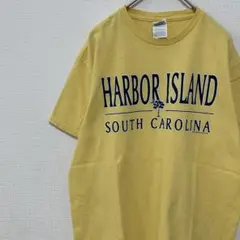 PRO WEIGHT Tシャツ サウスキャロライナ 文字ロゴ 古着