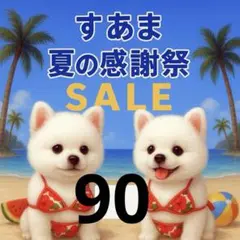 ✨夏の感謝祭セール✨パネル【Ｎｏ．90】