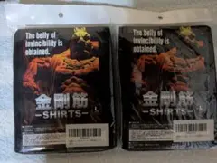 2個セット 金剛筋シャツ 加圧インナー L 格闘技 ジム ゴルフ