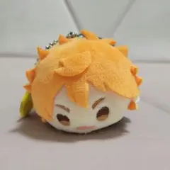 ハイキュー 日向翔陽 もちマス vol.1
