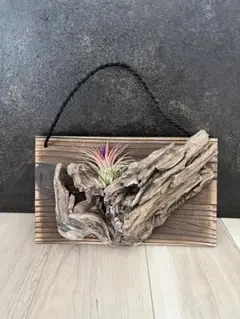 ハンドメイド　流木　エアプランツ　飾り