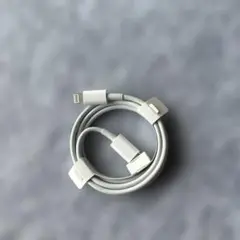 iPhone typeC to lightning ケーブル(純正未使用)