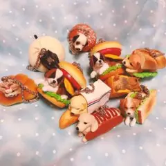 いぬパンシリーズガチャガチャ☆各種