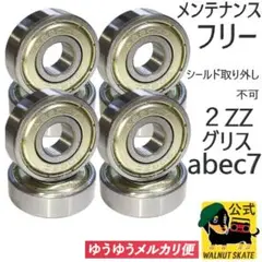 メンテナンスフリーグリス ベアリング スケボー、サーフスケート、ロンスケ、ペニー