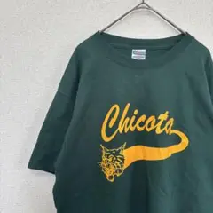 ジャージーズ　tシャツ プリント　ロゴ　アメリカ古着　L 2213