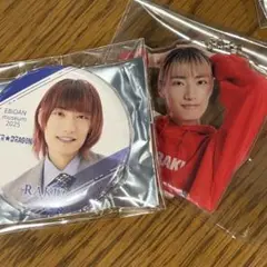 EBiDAN museum 缶バッジ　アクキー