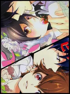 【リボーン】ヒバツナ 2冊セット
