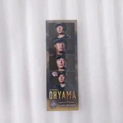 阪神タイガース 大山悠輔 フォトグレイ
