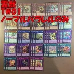 No.9827 遊戯王 霊獣 デッキパーツ TW01 ノーマルパラレルのみ