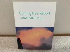 Grapevine 2015 Burning tree パンフ グレイプバイン