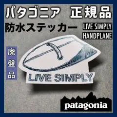 【正規品・廃盤品・希少】パタゴニアステッカーハンドプレーン ⑤