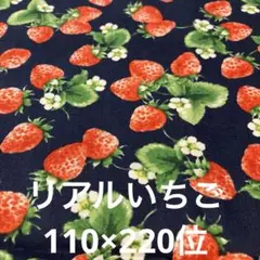 いちご　ブロードネイビー 約110×220位