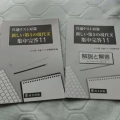新しい第3の現代文 集中完成11