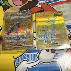 ガブリアスEX & テツノイサハexURカードセット
