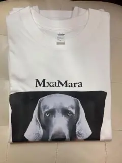 MAX MARA チプリア DOGプリントTシャツ