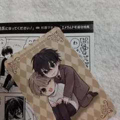 アニメイト特典のみ★俺の彼氏になってください！ 杉原マチコ