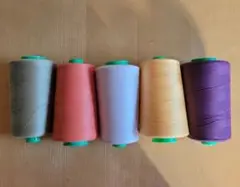 スパンミシン糸 ５本セット 紫 赤 青 黄　くすみグリーン