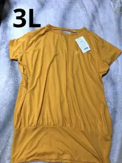 【新品未使用】FILA 水陸両用　ビックᎢシャツ　半そでシャツ　3L