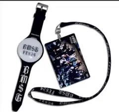 Item thumbnail for item 5687b3f9-47c8-489f-9fe2-6f2d41fb68c2