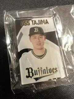 田島光祐　アクリルスタンド　レア　全選手　オリックス