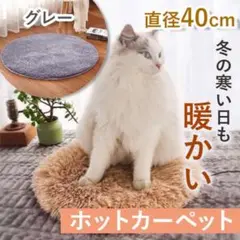 Item thumbnail for item f0959a94-96c3-44e1-846f-96e526b89485