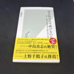 商店街はなぜ滅びるのか : 社会・政治・経済史から探る再生の道