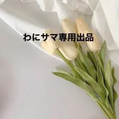 わにサマ専用出品
