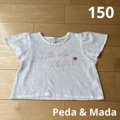 Peda & Mada 150 シースルー　Tシャツ