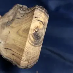 玄能柄グミ