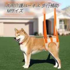 犬用介護ハーネス 歩行補助 Mサイズ