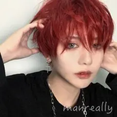 269 赤 レッド ウィッグ フルウィッグ 男装 メンズ コスプレ 仮装 耐熱