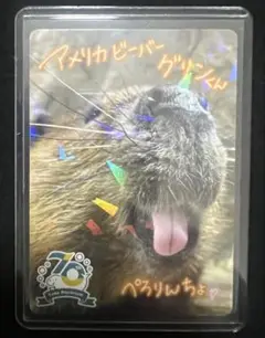 鳥羽水族館 コレクションカード アメリカビーバー グリン レア