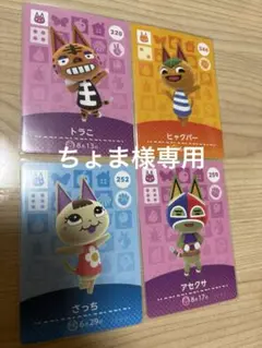 専用