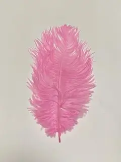 オーストリッチ　ピンク　約26cm