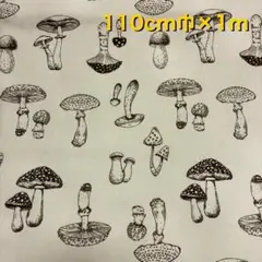 綿プリント オックス生地 【きのこ】 110cm幅 × 約1m