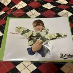 Buffaloes選手フォト（シークレット）干支ver.渡部