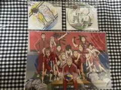ハイキュー ゴミ捨て場の決戦 特典 SD缶バッジ 音駒 伊達高 ほか