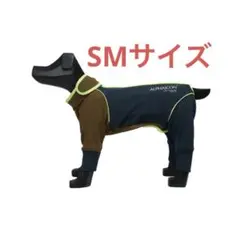 Item thumbnail for item 30cbb79f-2fa4-4005-9015-006705ccb7bf