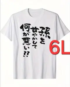 am-257　新品　6L　半袖Tシャツ　おもしろTシャツ　面白い　ギャグ　ネタ