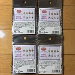 未開封 セリア セボンスター メタルチャーム 4点セット【匿名配送】