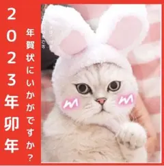 犬 猫 卯 帽子(干支 2023年 卯年 年賀状 干支 令和5年