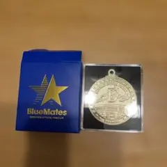 横浜DeNAベイスターズ ファンクラブ Blue Mates 会員限定メダル