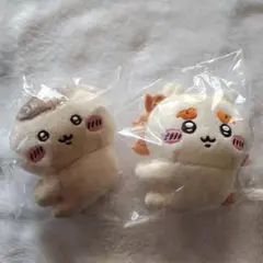 Item thumbnail for item 584d511c-4ca9-491a-bc75-93dfd94086da